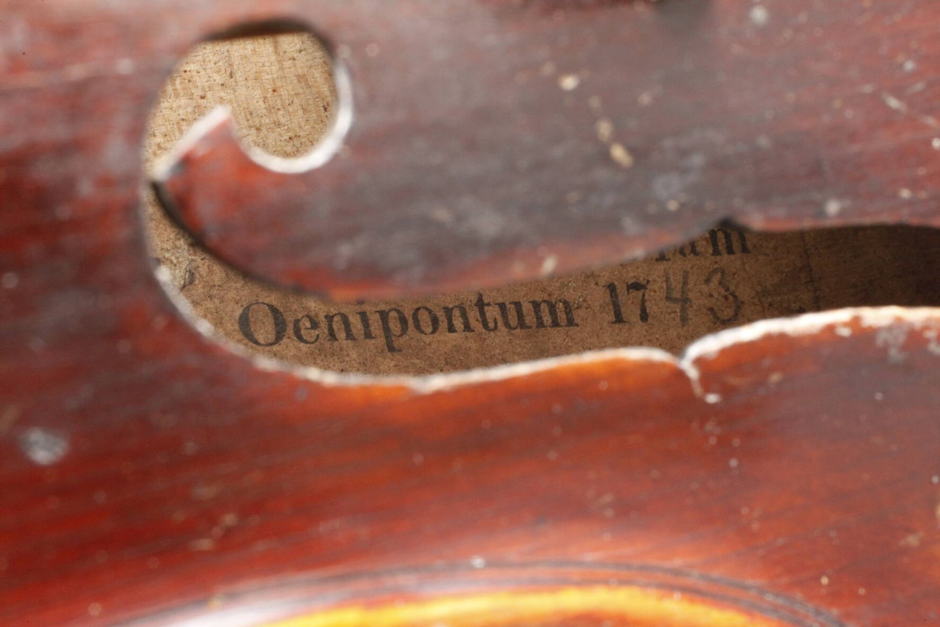 Violineum 1900, innen Modellzettel Jacobus Stainer in Absam, geteilter, gleichmäßig geflammter Boden - Image 8 of 8