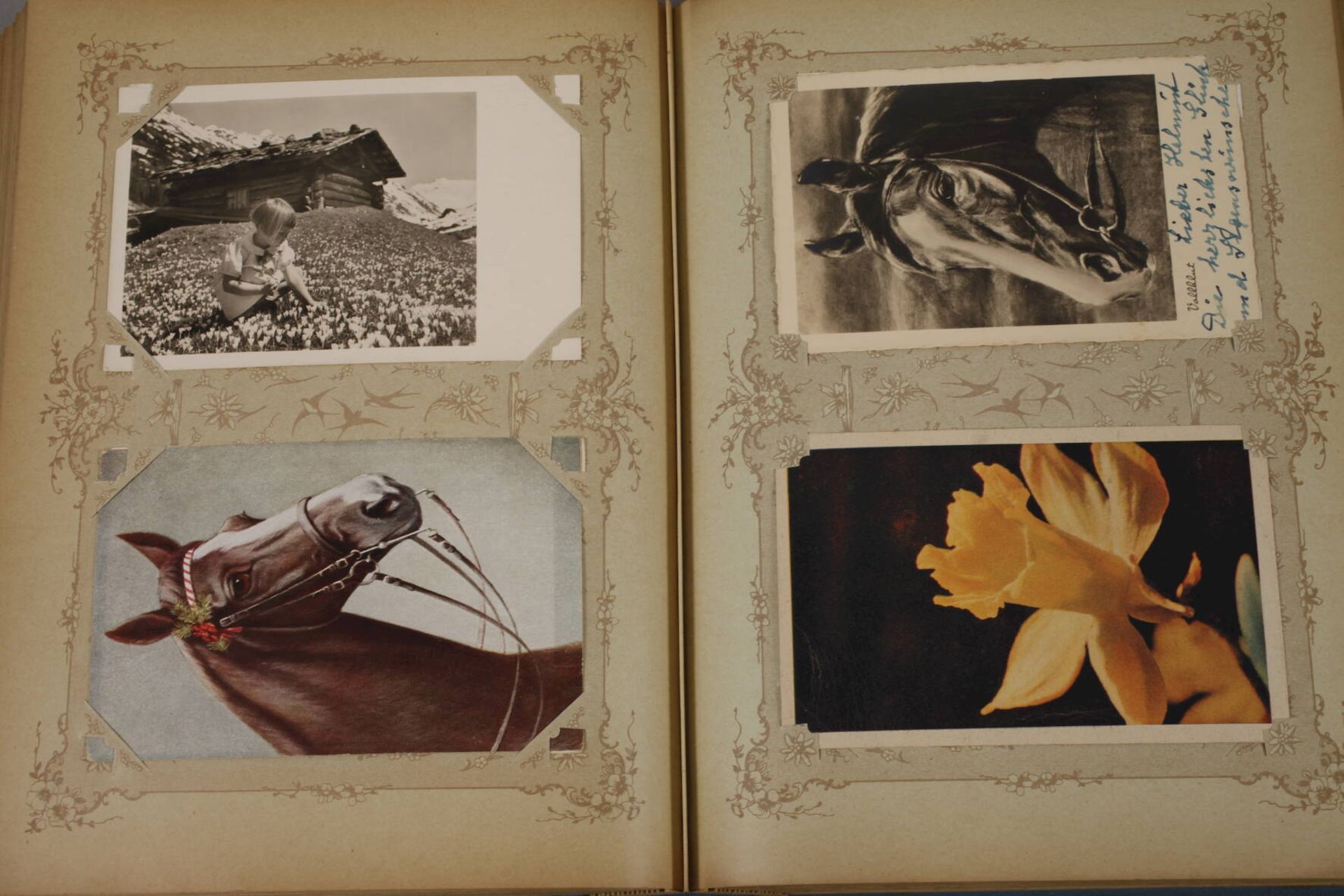 Ansichtskartenalbumvor 1945, ca. 300 Motiv-, Serien- und Kitschpostkarten in gut erhaltenem Album um - Image 6 of 11