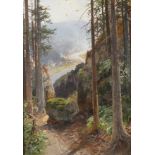Albert Ernst Mühlig, In der sächsischen SchweizBlick durch Felsenburgen auf die sich durch das Tal