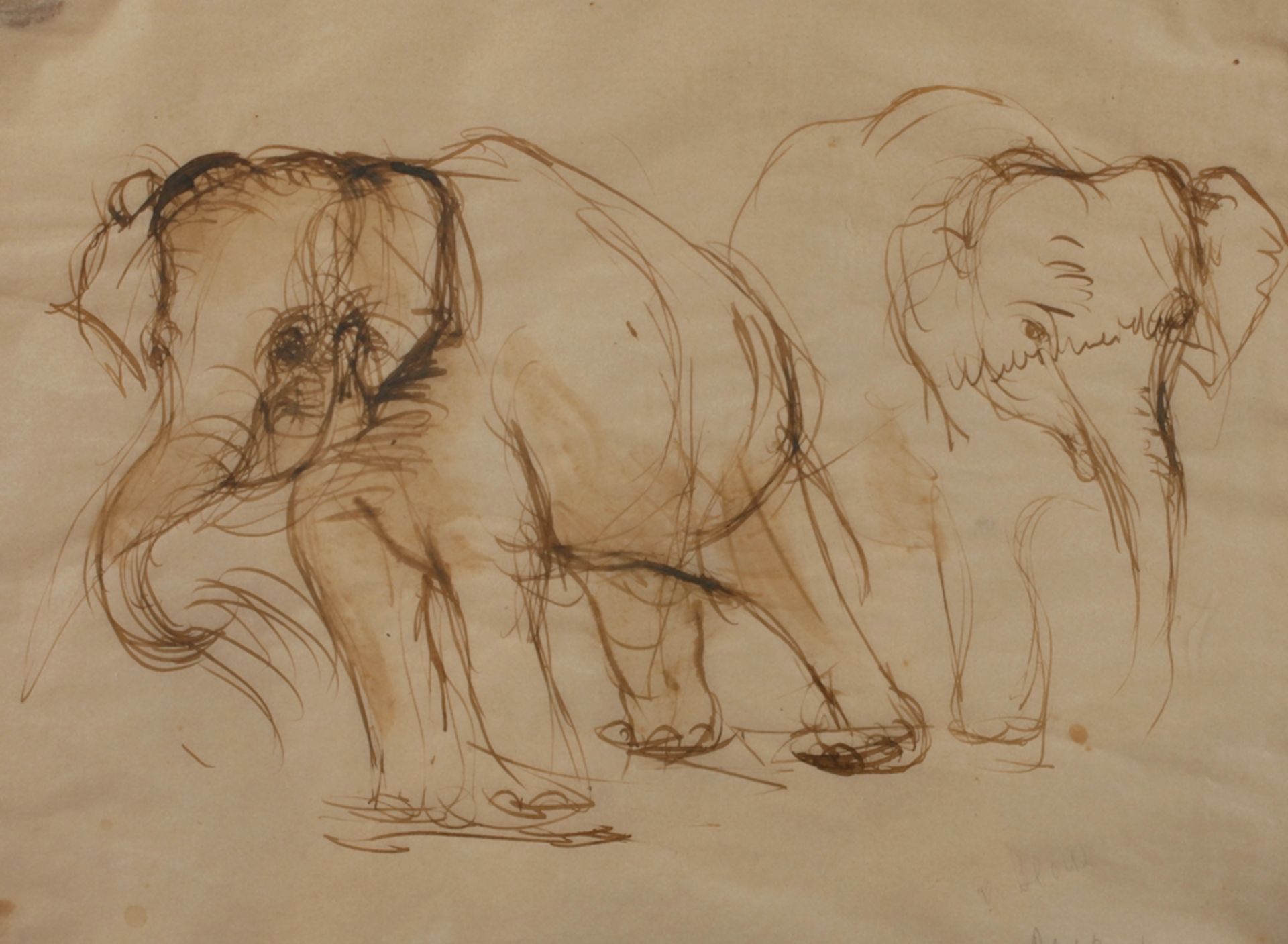 Adelaid von Block-Quast, Tierstudie mit ElefantenDarstellung zweier gehender Elefanten, mit lockerem