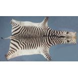 Zebra skin. West Africa. Around 1974. 314 cm x 195 cm.