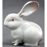 KPM Berlin porcelain figure. Rabbit.