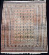 Mauri carpet. Afghanistan. Fine knotting.