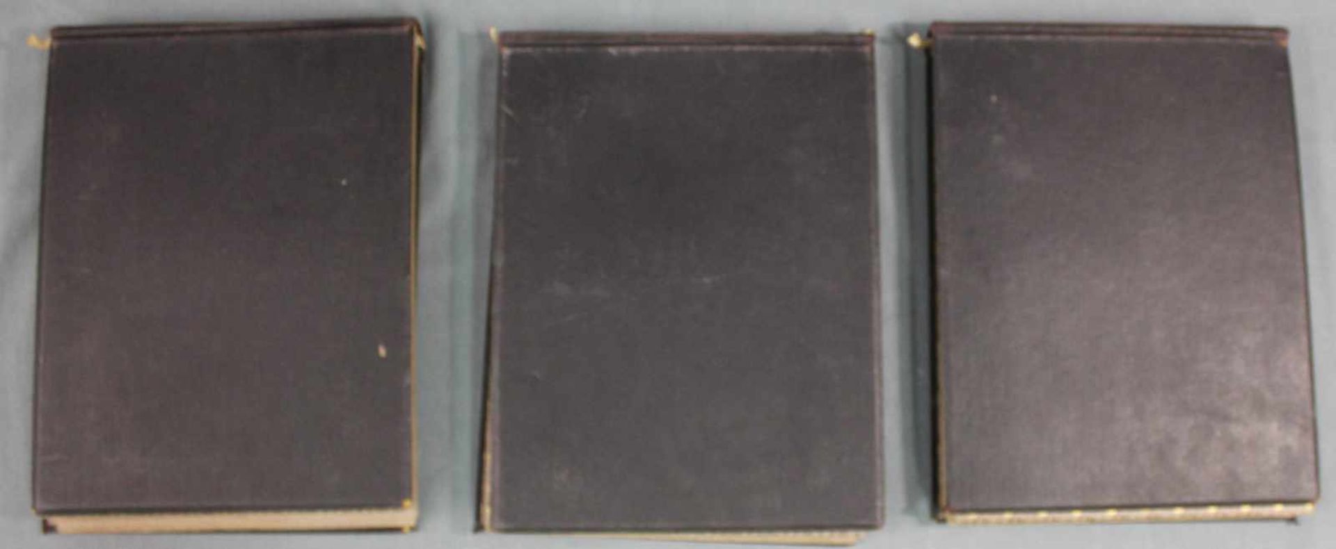 "Souvenir of D. S.W. Africa". Three picture albums, around 1912. - Bild 2 aus 10