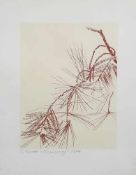 Siegward SPROTTE (1913 - 2004). ''Pine branch''. 1974.