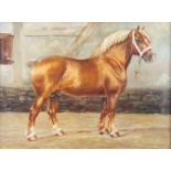 Wilhelm WESTEROP (1876-1954). Brabant / Belgian draft horse.