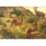Franz Xavier VON PAUSINGER (1839 - 1915). Three red deer.55 cm x 79 cm. Painting. Oil on canvas.