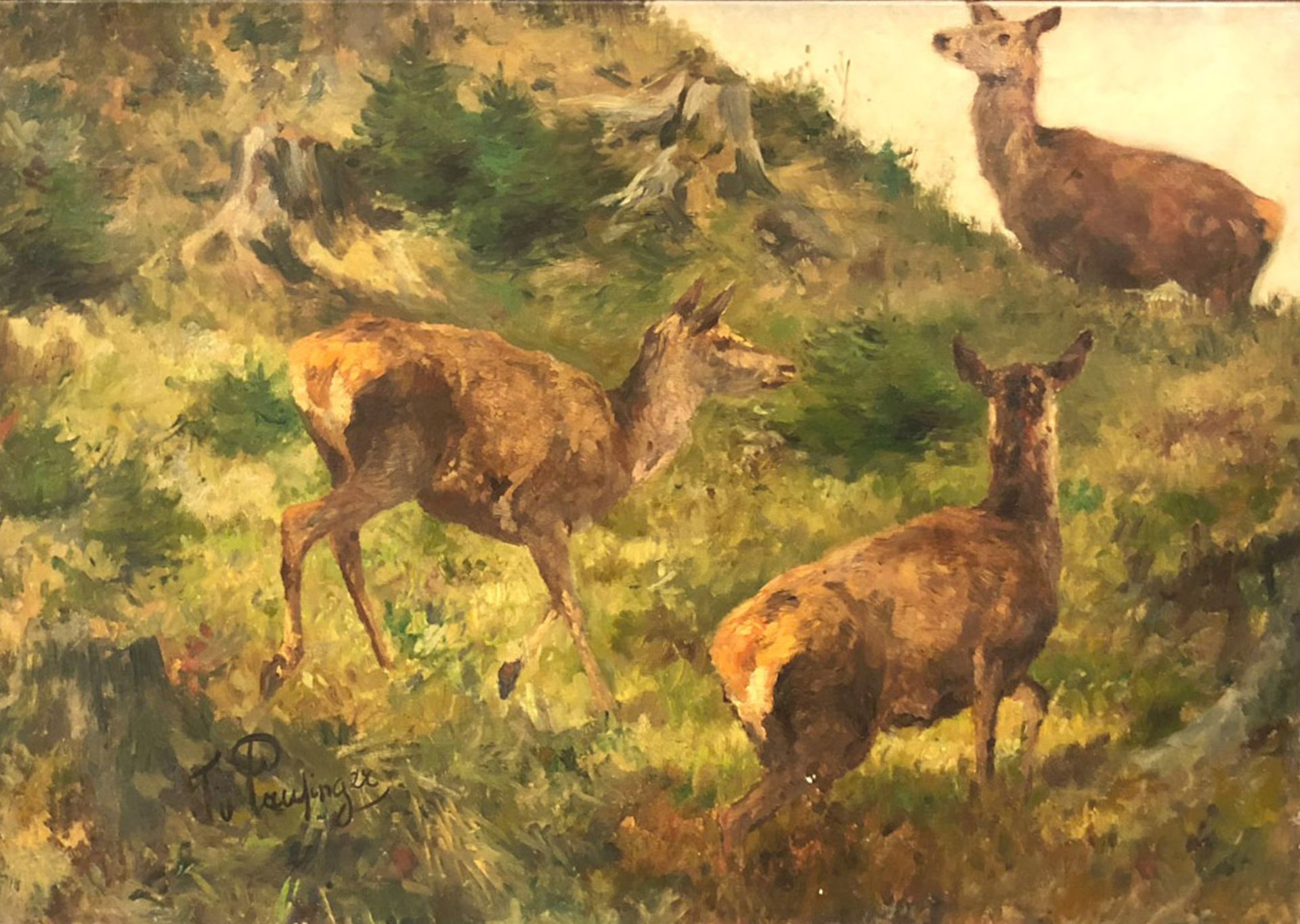 Franz Xavier VON PAUSINGER (1839 - 1915). Three red deer.55 cm x 79 cm. Painting. Oil on canvas.