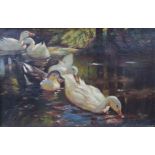 INDISTINCTLY SIGNED (XX). Ducks at the pond.25 cm x 16 cm. Painting, oil on canvas. Signed lower