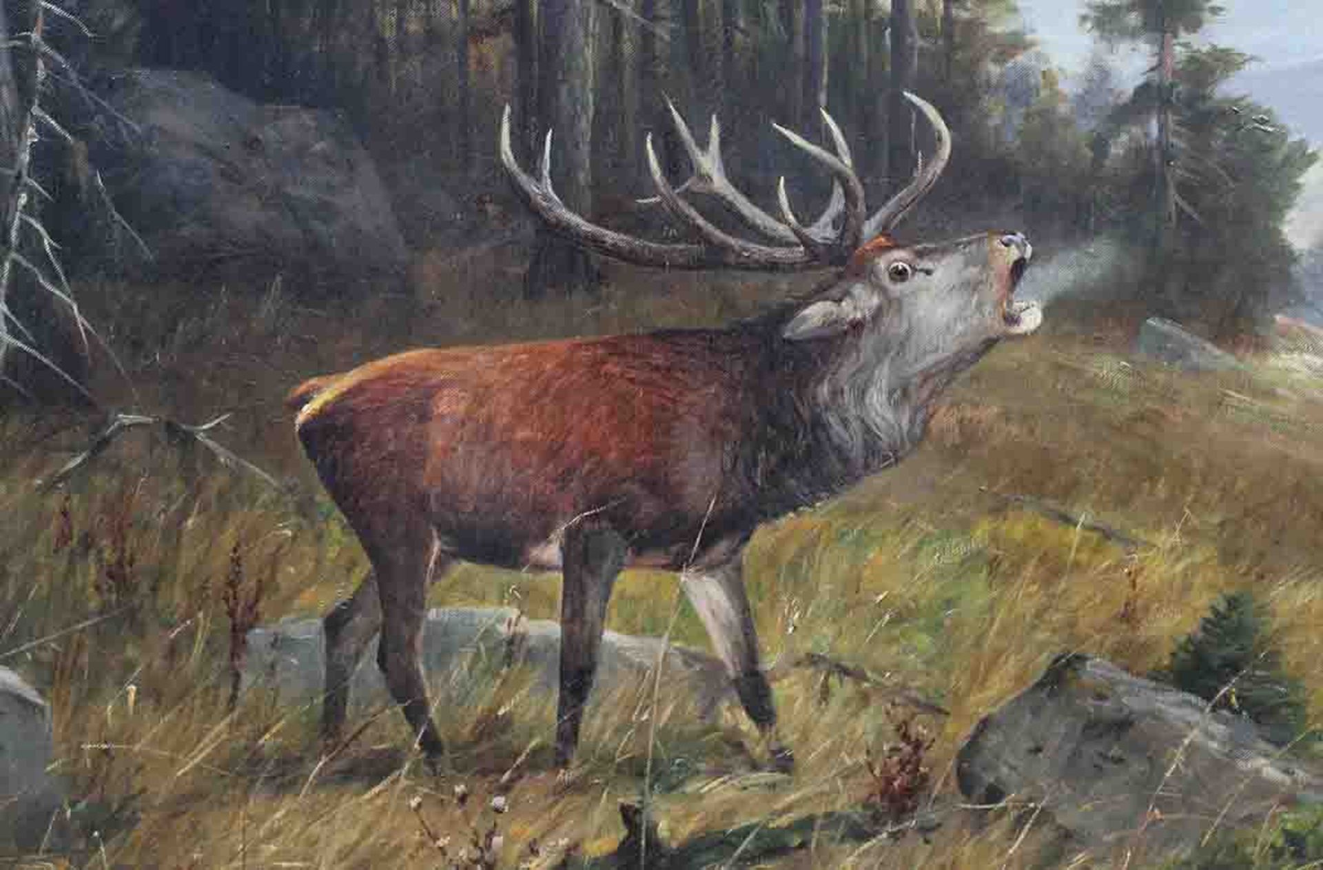 Karl W. WENZEL (1889 - 1947). Deer. Rut.90 cm x 150 cm. Painting. Oil on canvas. Signed lower - Bild 2 aus 5