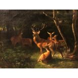 Carl Friedrich DEIKER (1836 - 1892). Deer pack 1860.51 cm x 62 cm. Painting. Oil on canvas. Signed