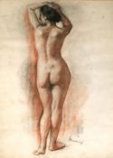 Victor BELANYI (1877-1955). Woman.62 cm x 47 cm. Rubella and charcoal on paper. Signed. Verso