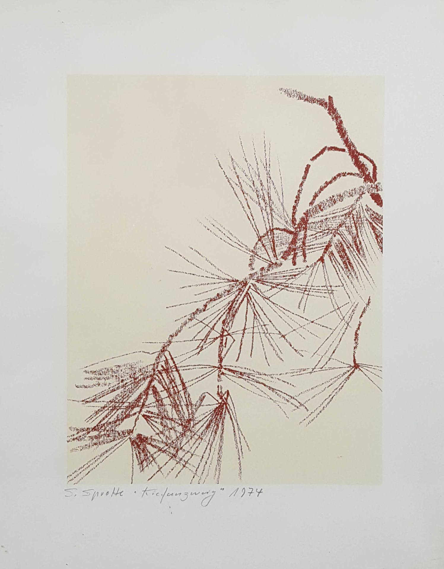 Siegward SPROTTE (1913 - 2004). ''Kiefernzweig''. 1974.34 cm x 25.5 cm. Print. Signed lower left,