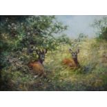Klaus MAIER (XX).Strong roe buck in summer.51 cm x 70 cm. Painting. Oil on canvas. Signed lower