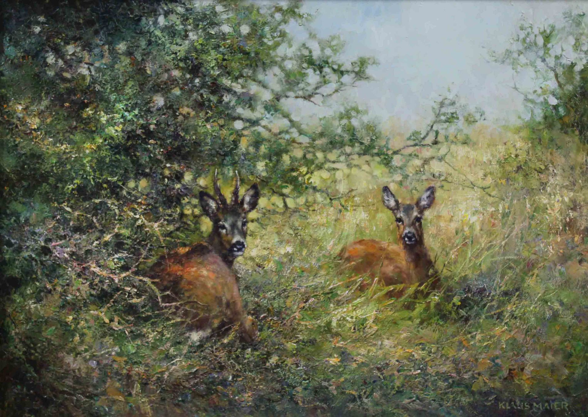 Klaus MAIER (XX).Strong roe buck in summer.51 cm x 70 cm. Painting. Oil on canvas. Signed lower