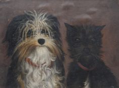 UNSIGNIERT (XIX - XX). 2 Freunde. Tibet Terrier und Cain Terrier.20 cm x 28 cm. Gemälde. Öl auf