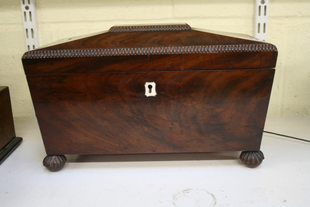 A substantial George IV mahogany sarcophagus tea chest, on gadrooned bun feet, retaining inner boxes