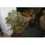 Three terracotta garden pots, a pair of small glazed terracotta jardinieres, and a pair of