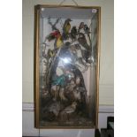 A glazed cabinet of stuffed and mounted birds including kingfisher, snipe, golden oriels, and