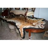 An early 20th century Indian tiger skin rug, fully mounted head, with glass eyes, with black