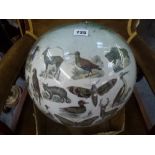 A large 19th century decalcomania glass ball decorated with birds, animals and insects on a white