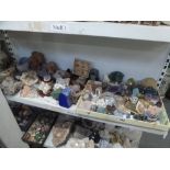 A shelf of various geodes, minerals and crystals including amethyst [s2] FOR DETAILS OF ONLINE