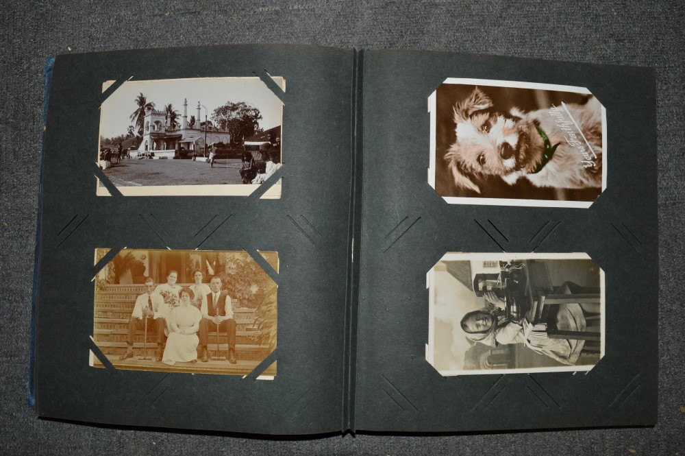 An old postcard album of cards including topographical, dogs and cats, portraits, humour, river