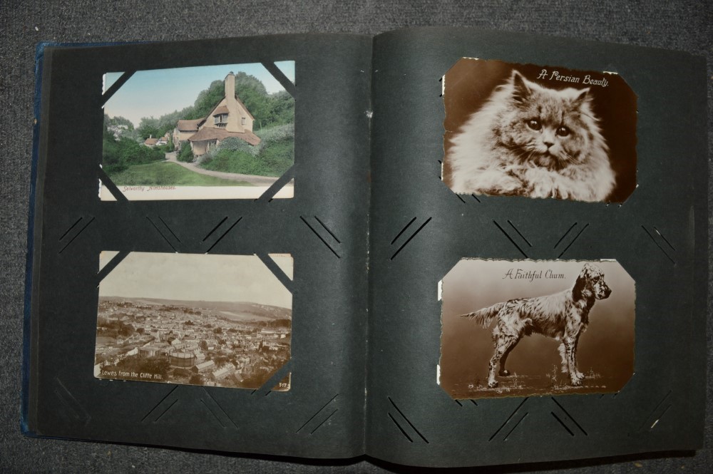 An old postcard album of cards including topographical, dogs and cats, portraits, humour, river - Image 2 of 4