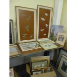 Stewart Hine, oils on unpainted board, two panels with gulls and terns, each signed and dated 10/