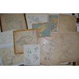 Nine late 20th century pencil studies of birds by Silvia Baker, signed with initials S.B. (largest