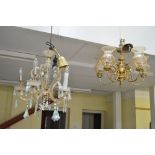 A five-branch crystal drop electrolier plus a five-branch brass ceiling light with glass shades