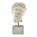 WHITE MARBLE HEAD 19th CENTURY