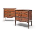 PAIR OF SMALL CHESTS OF DRAWERS 19th CENTURY