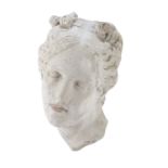 HEAD IN PLASTER EARLY 20TH CENTURY