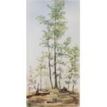 THREE PAINTINGS OF TREES