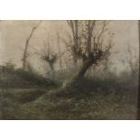 OIL PAINTING OF A WOODLAND EUROPEAN SCHOOL EARLY 20TH CENTURY