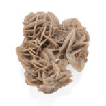 DESERT ROSE FOSSIL