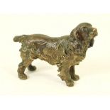 BRONZE SPANIEL.