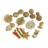 BRITISH REGIMENTAL BADGES ETC.