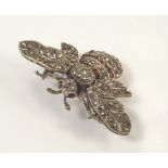 MARCASITE BEE.