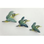 A group of three Beswick ceramic wall plaques, each modelled as a kingfisher, of graduating size,