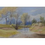 J. C. Moore (British, early 20th century): a woodland stream, signed lower right, watercolour, 25 by