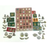 A collection of over eighty British army badges and buttons, including Hampshire and Royal