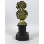 A Neo-Classical gilt metal bust of a young man, his hair festooned with berries and leaves,