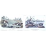 After J. J. Audubon (French, 1785-1851): two J. T. Bowen ornithological colour lithographs, '