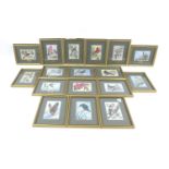 A group of Cash's jacquard silk pictures, depicting various species of birds, each glazed and