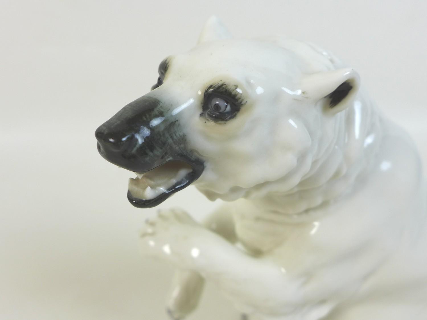 A 20th century Sitzendorf Polar bear figurine, the bear posed bearing teeth and rearing up from - Image 4 of 9