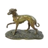 A bronze sculpture of a whippet or lurcher, early 20th century, modelled in standing pose with