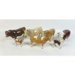 A group of seven Beswick cattle figures, comprising Guernsey bull CH Sabrina Sir Richmond,