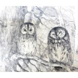 Three continental country scene and wildlife etchings, Falk Bang, 'Two owls' etching, 38.5 by 28.
